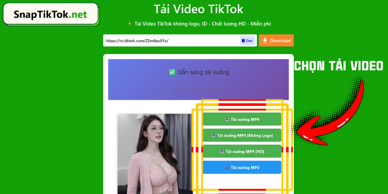 Dán link và tải video TikTok không logo
